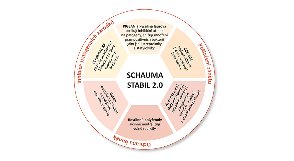 SCHAUMA STABIL 2.0 je kombinace různých účinných látek, která umožňuje snížit negativní působení na střevní sliznici vyvolané stresem a dalšími vnějšími vlivy. .