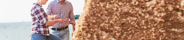 Maissilage