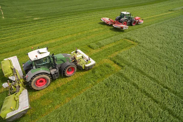 Gras mähen Gras mähen