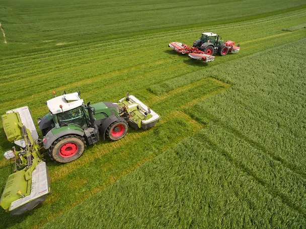 Gras mähen Gras mähen