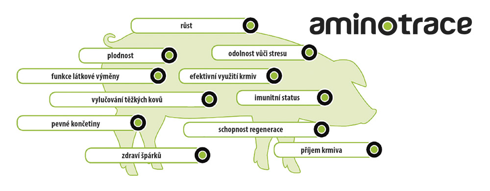 Těžiště účinku