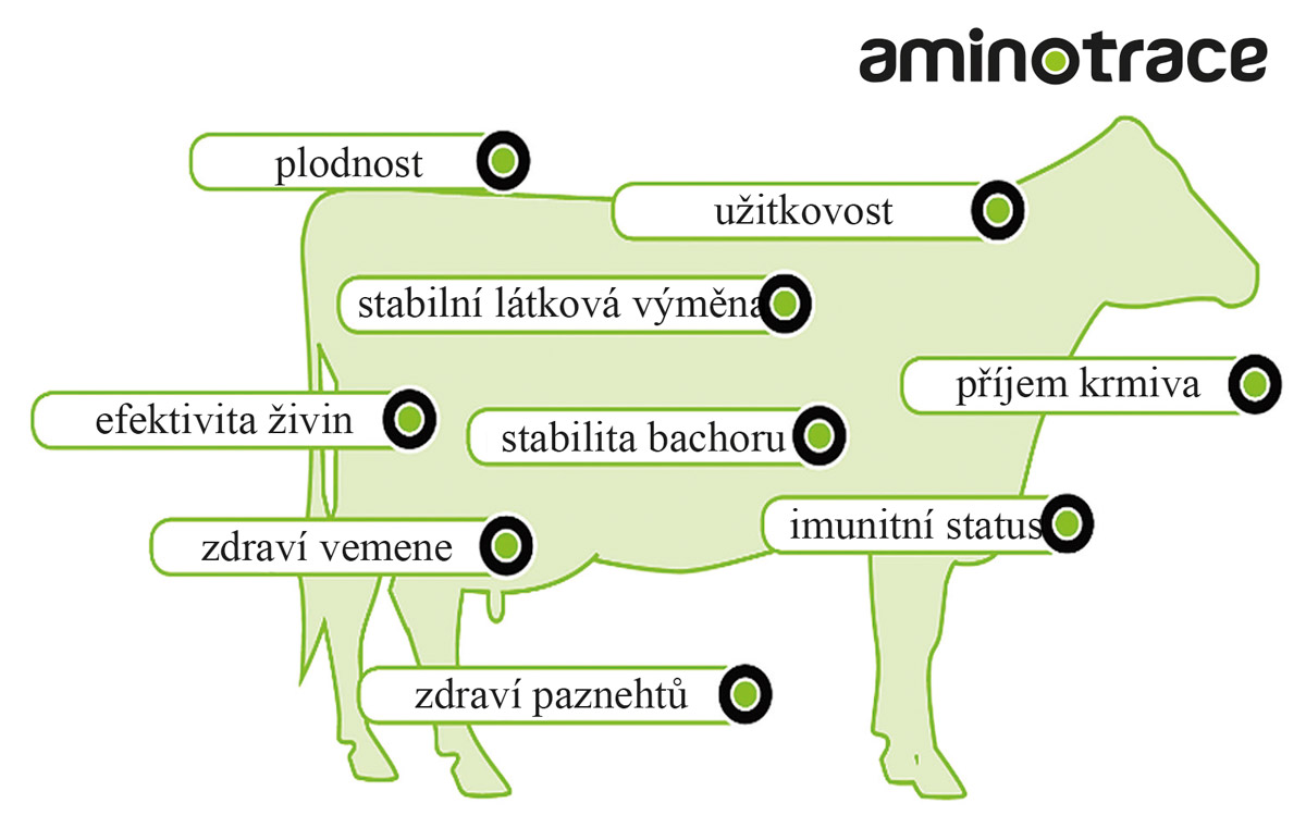 AMINOTRACE u skotu