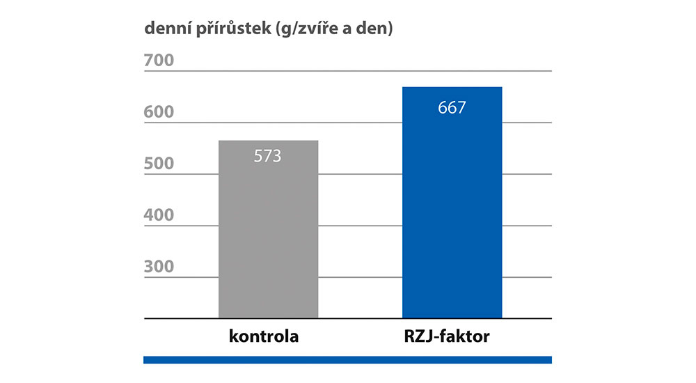 RZJ-faktor