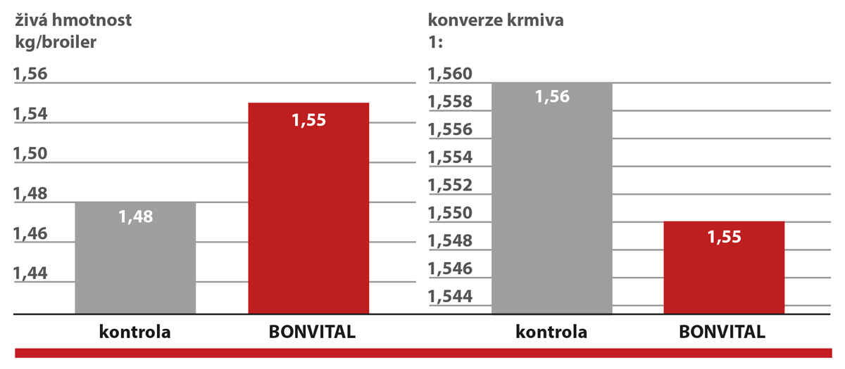 BONVITAL BONVITAL