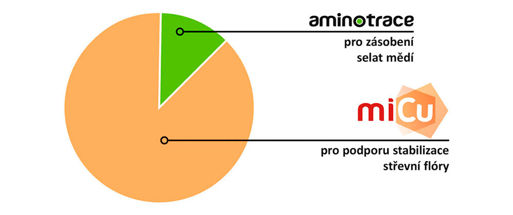 Optimální zásobení selat