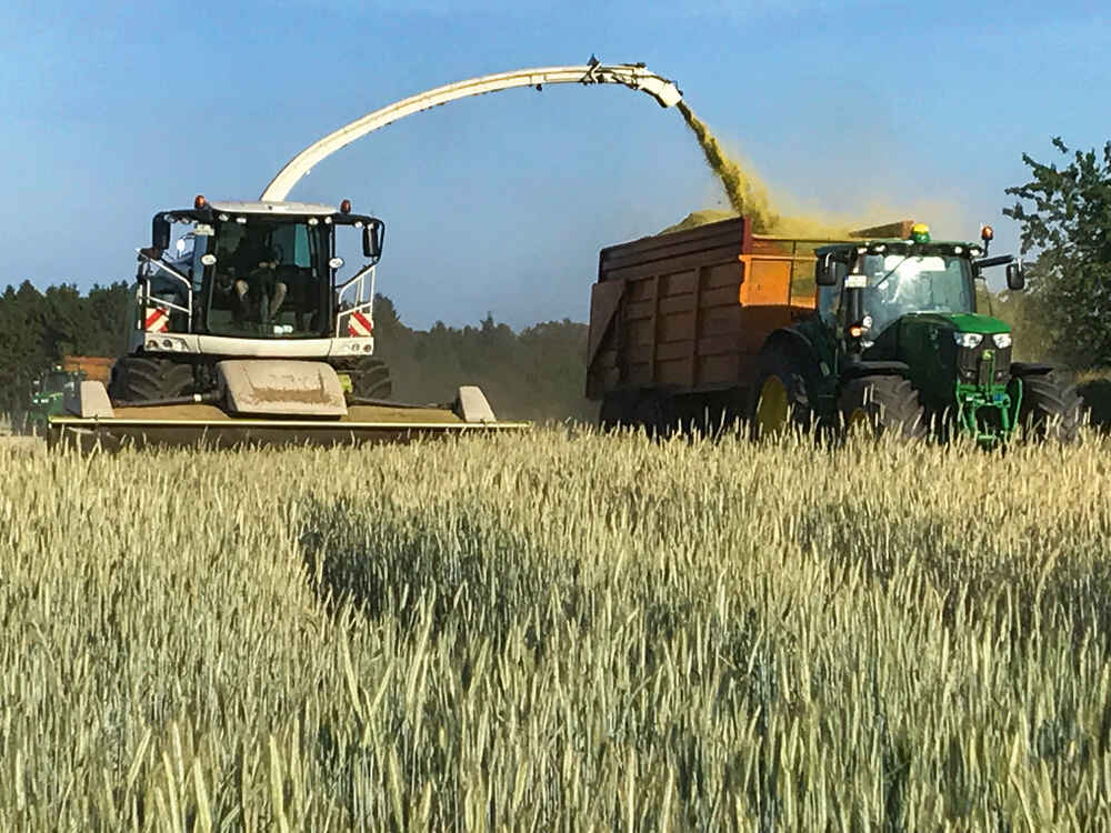 Nedostatek krmiv - siláž ze zeleného žita a GPS