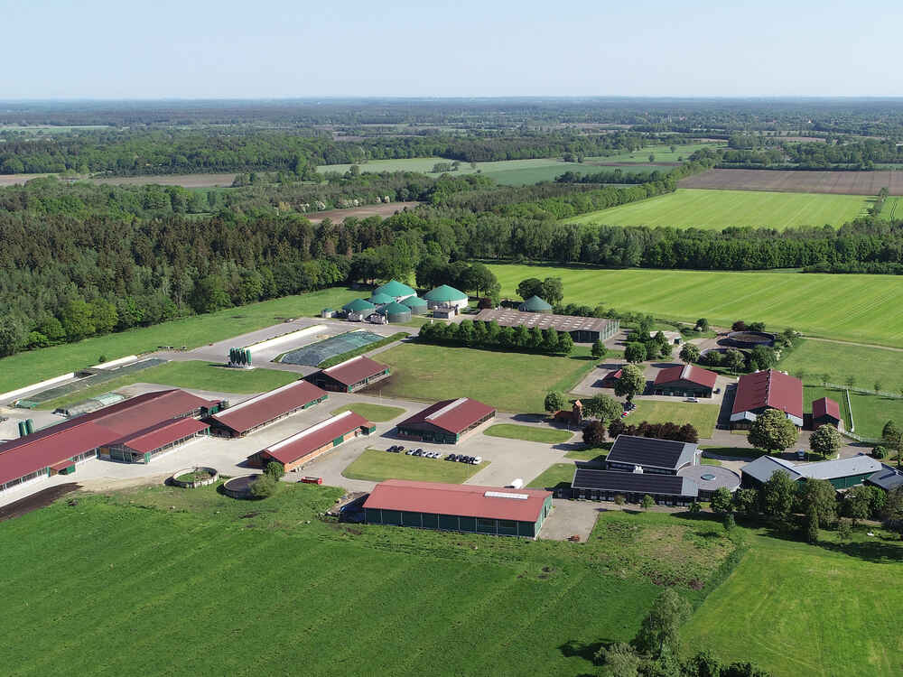 Účinná kombinace: BONSILAGE a RUMIVITAL snižují produkci metanu
