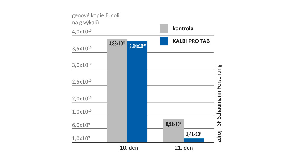 Bakterie mléčného kvašení v KALBI PRO TAB snižují výrazně vývoj a rozmnožování patogenních kmenů