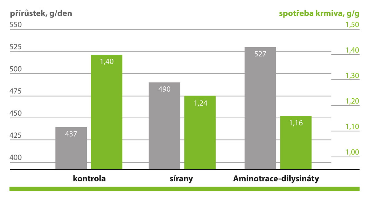 AMINOTRACE zvyšuje přírůstek