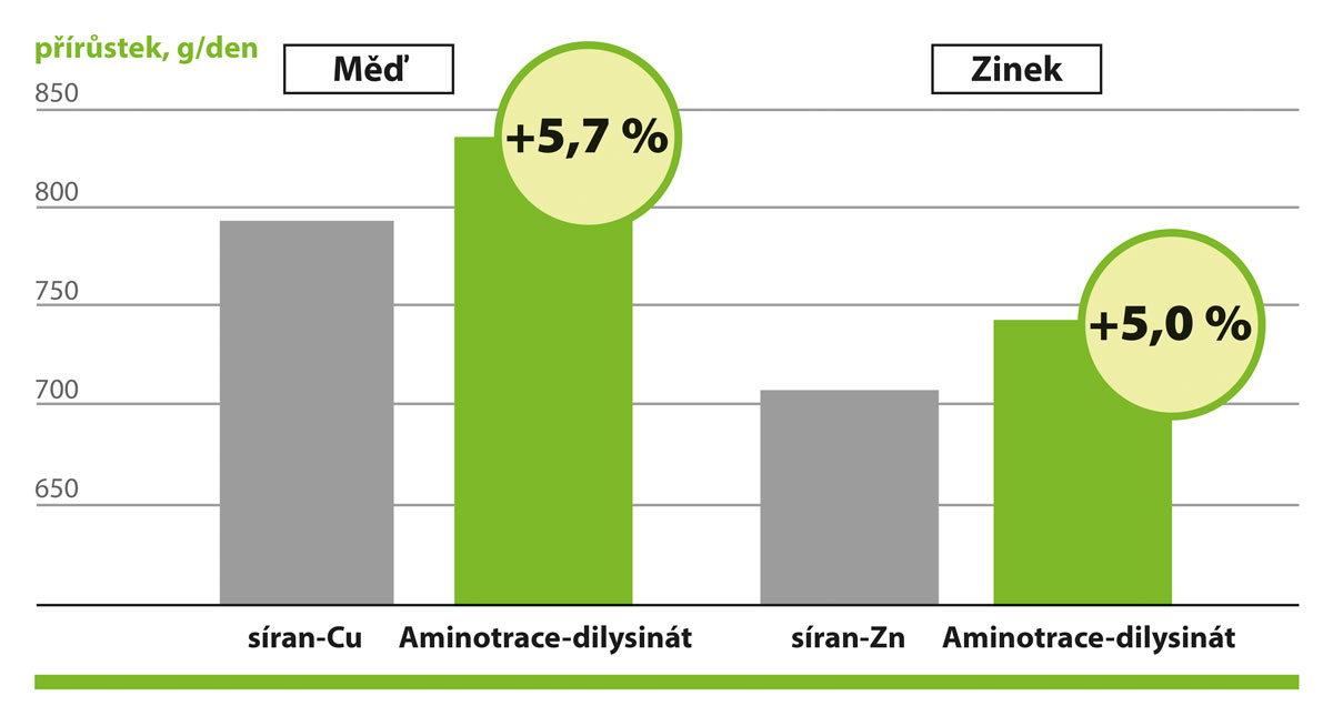 AMINOTRACE u skotu