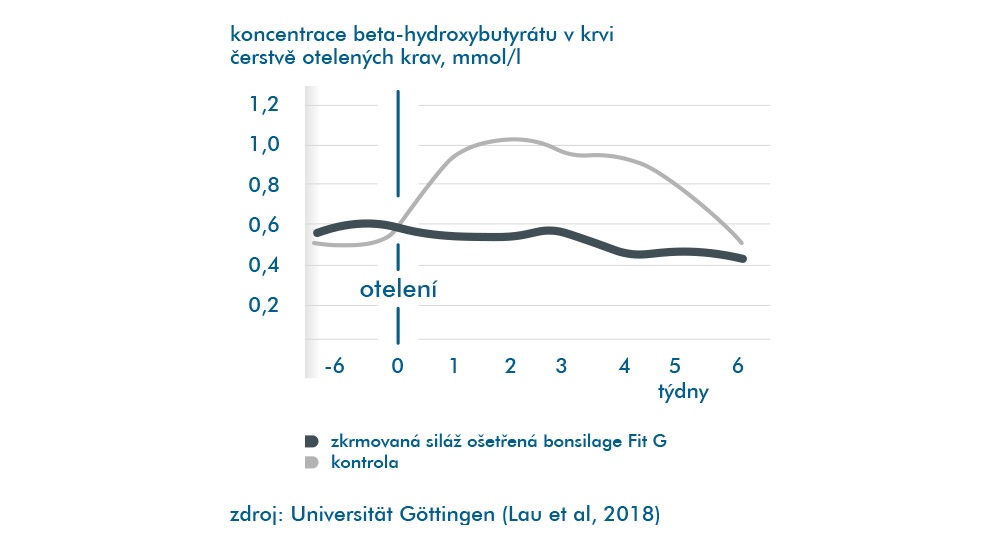 Méně ketóz s bonsilage FIT G