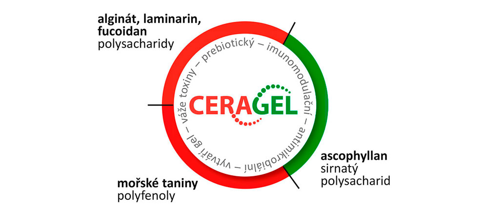 Účinné látky a účinky CERAGEL