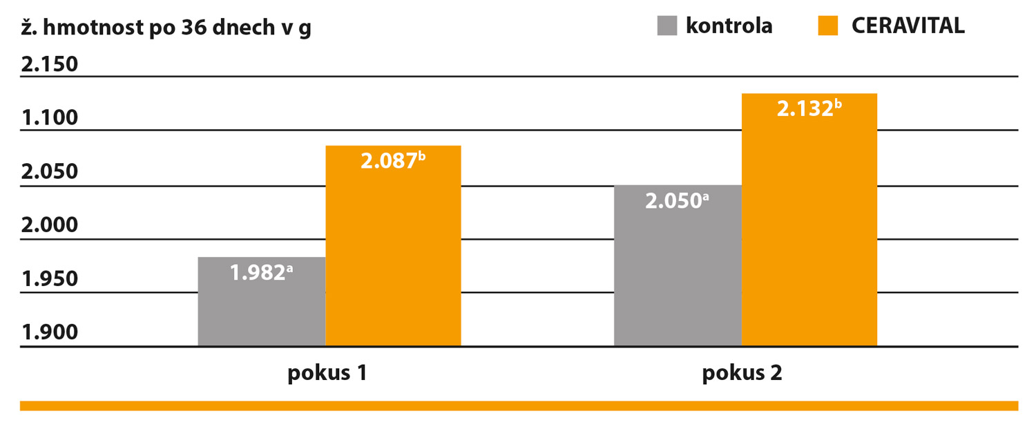 CERAVITAL zlepšuje přírůstek živé hmotnosti