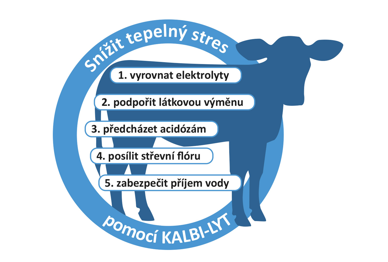 KALBI-LYT vyrovnává ztráty při pocení