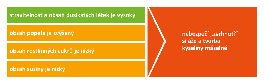 Podzimní porosty