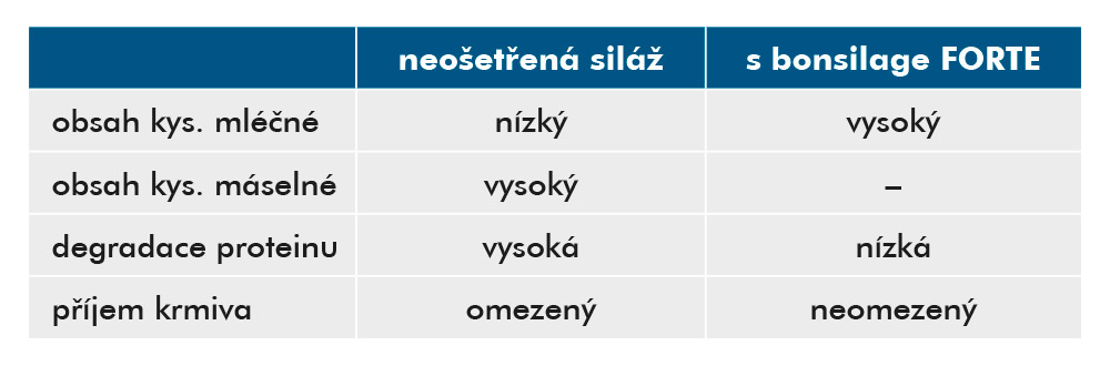 Chutné siláže z podzimních sečí